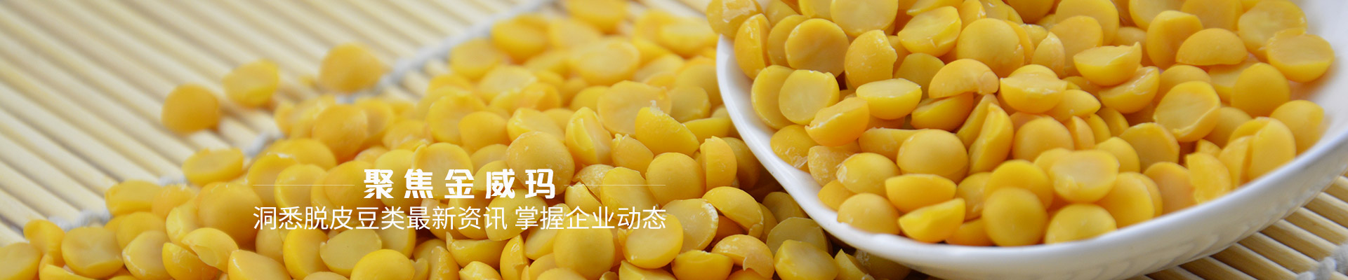 金威瑪洞悉脫皮豆類(lèi)最新資訊 掌握企業(yè)動(dòng)態(tài)